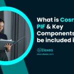What is Cosmetic PIF & Key Components to be included in it?