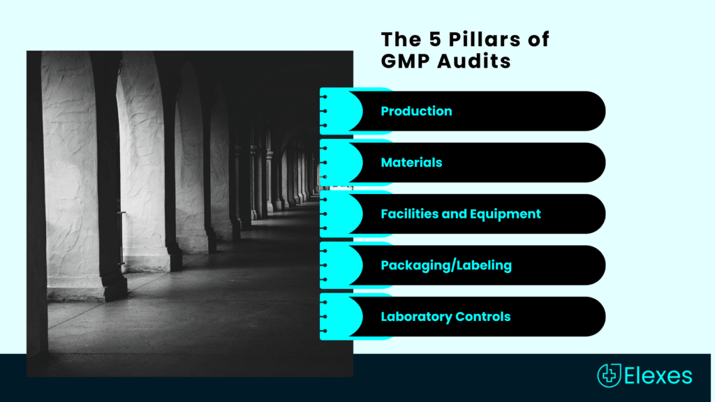 The Five Pillars of GMP Audits